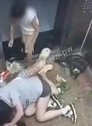 女子打架喊儿子帮忙